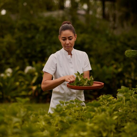 Amanera, Dominican Republic - Resort, Wellness, Spa