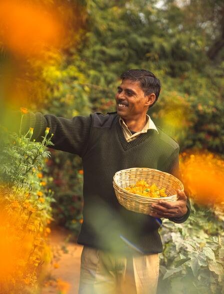 Aman-i-Khas, India - Organic Garden