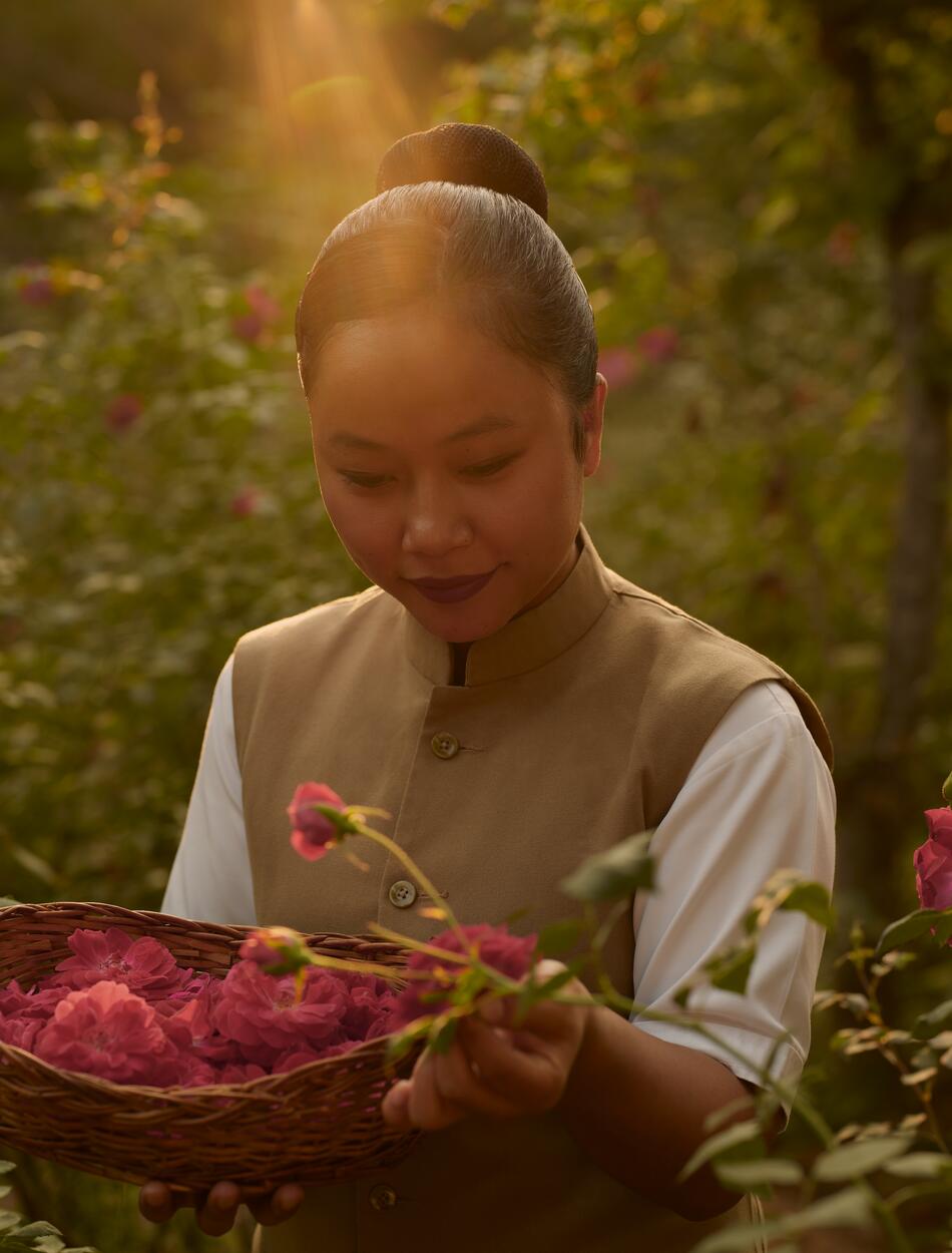 Aman-i-Khas, India -  Garden, Rose picking